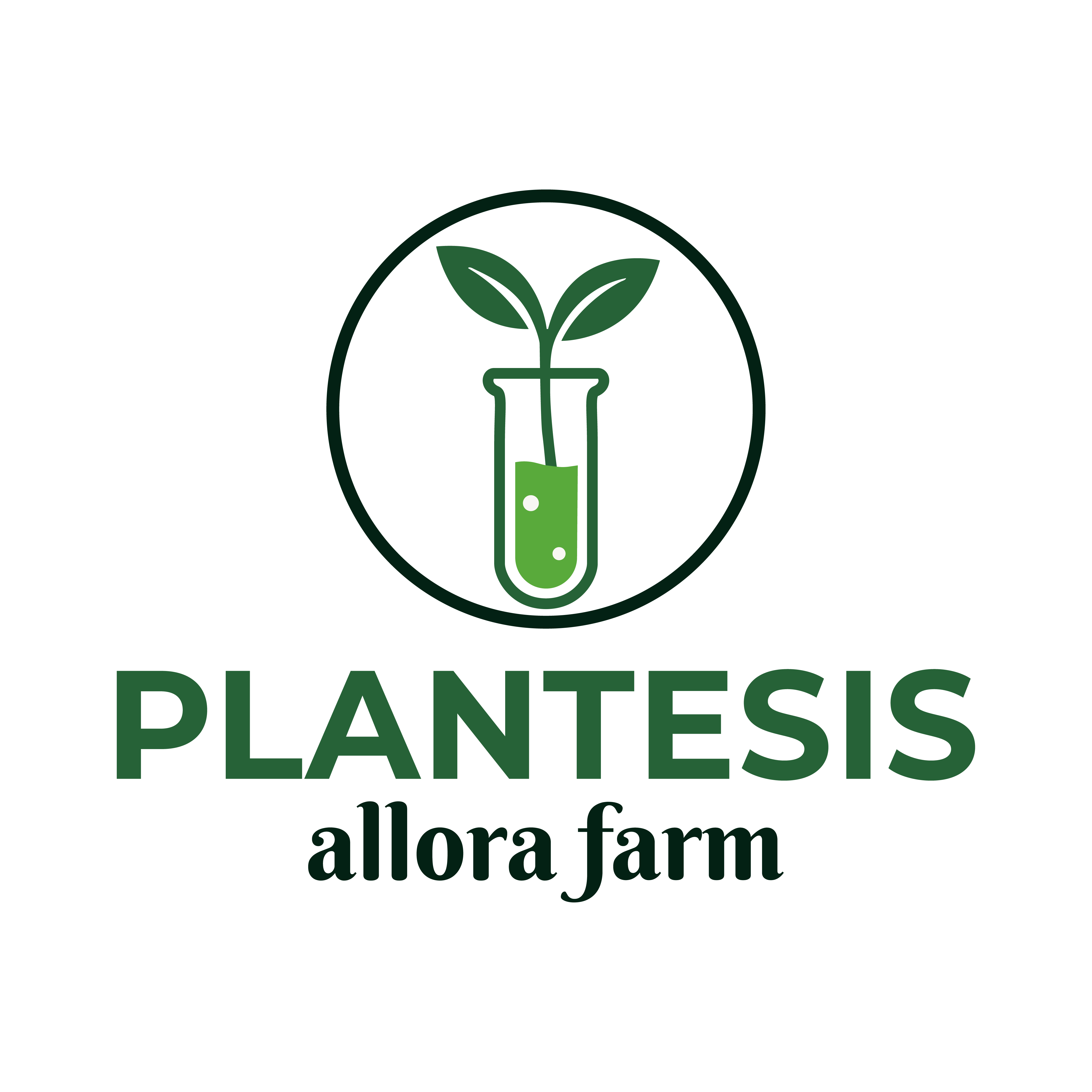 Allora Farm logosu